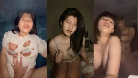 T1929